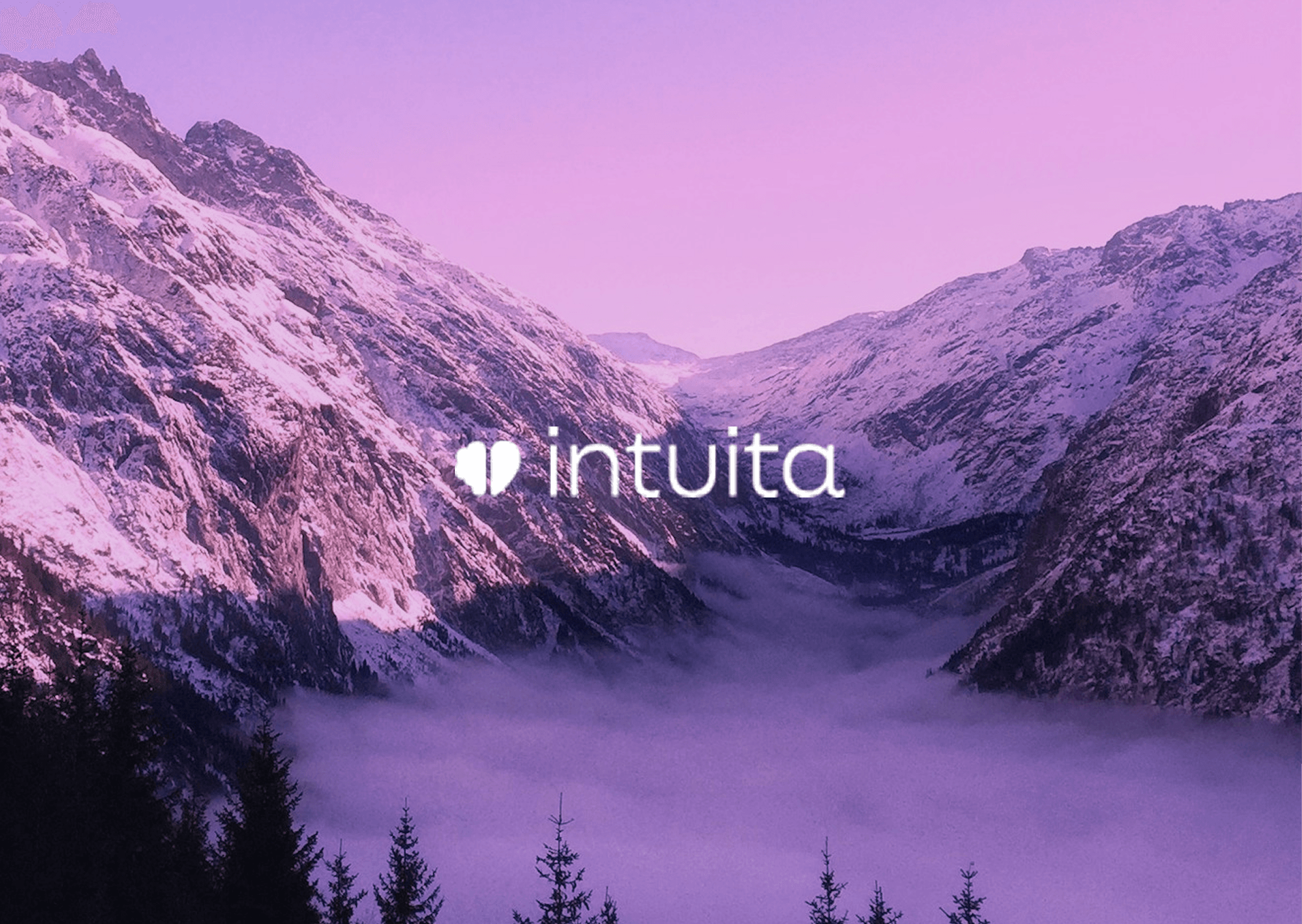 Intuita — AGENCY TOOL