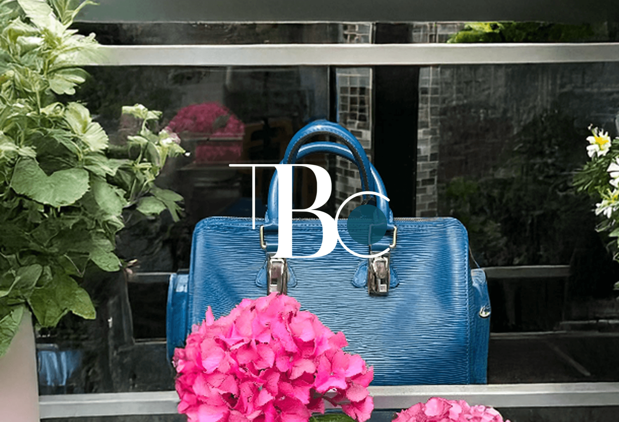The Brand Collector — LUXURY B2B